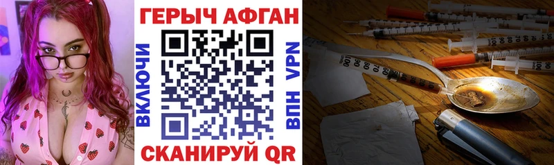 ГЕРОИН хмурый  Спасск-Дальний 