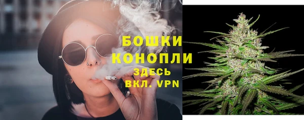 a pvp Снежногорск