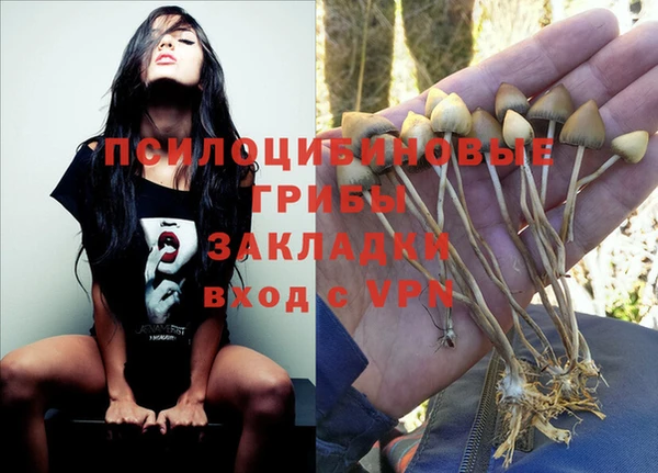 кокаин Заводоуковск