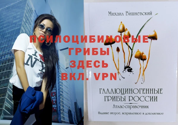 твердый Заволжск