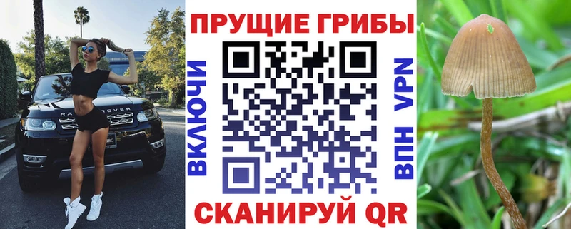 Галлюциногенные грибы мицелий  Спасск-Дальний 