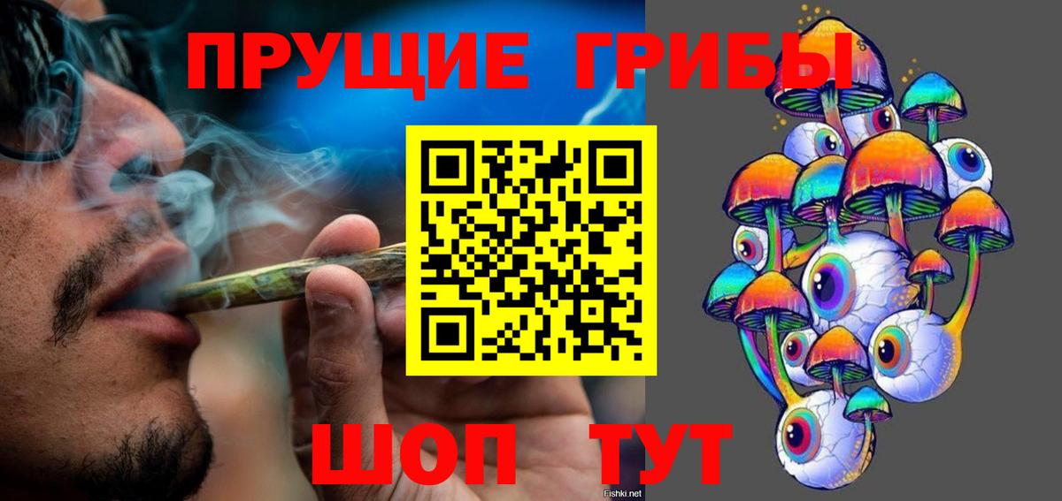 где купить   Вход с VPN  Спасск-Дальний  Галлюциногенные грибы Cubensis 
